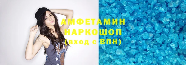 соль ск Новозыбков