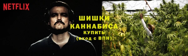 соль ск Новозыбков