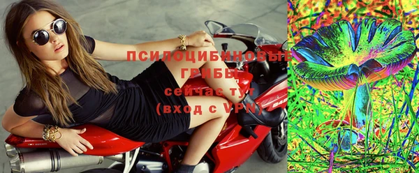 соль ск Новозыбков