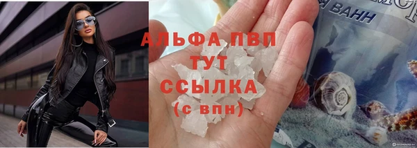 соль ск Новозыбков