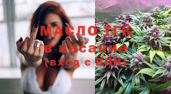 соль ск Новозыбков