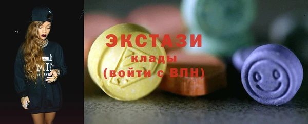 соль ск Новозыбков