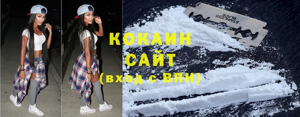 соль ск Новозыбков