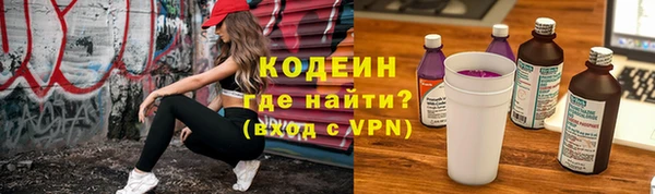 соль ск Новозыбков