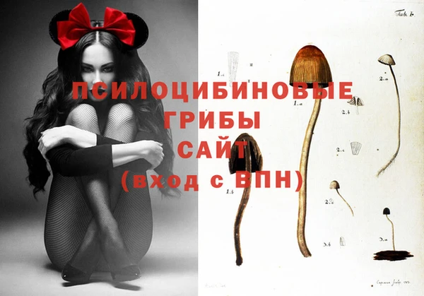 спиды Новокубанск