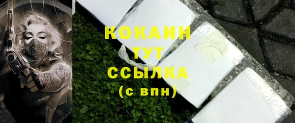 соль ск Новозыбков