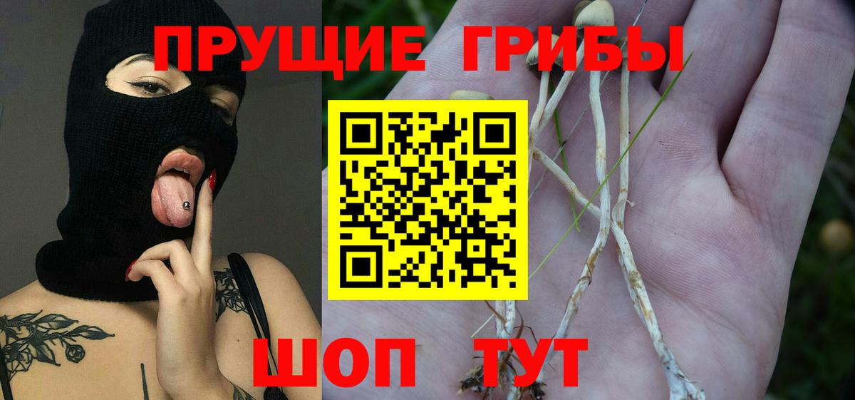 Галлюциногенные грибы GOLDEN TEACHER  Вход с VPN  Псилоцибиновые грибы мухоморы  Хасавюрт 